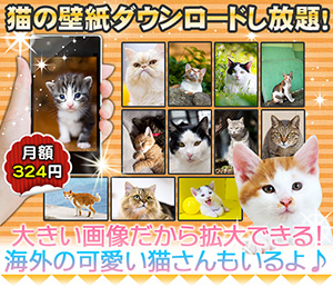 にゃんと猫ねこ