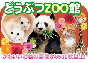 どうぶつZOO館